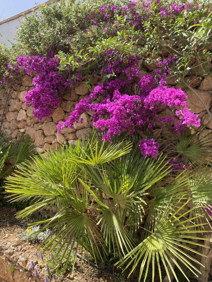 Terraced House In The Mountains With Fantastic View Villa Malaga Exterior photo